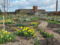 Public invited to community garden summer picnic