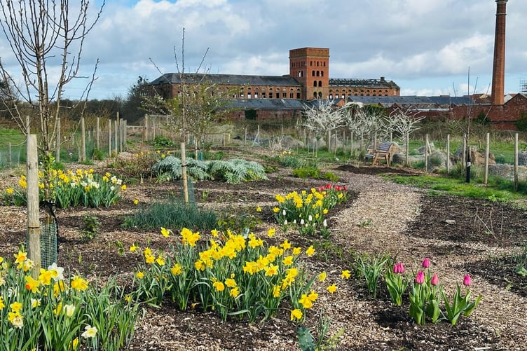 Fox's Field, in Tonedale, Wellington.