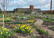 Public invited to community garden summer picnic