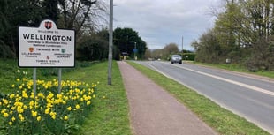 Welcome to Wellington signs 'filthy and unattractive', councillor says