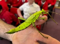 Wellington primary school enjoys exciting week of science
