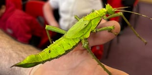 Wellington primary school enjoys exciting week of science