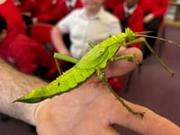 Wellington primary school enjoys exciting week of science