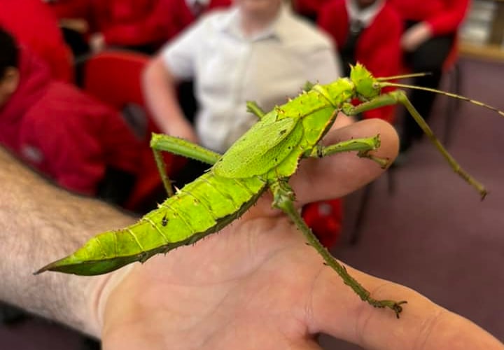 The children at St John's School have enjoyed a fun and exciting week of learning, taking part in their annual Science Week. 