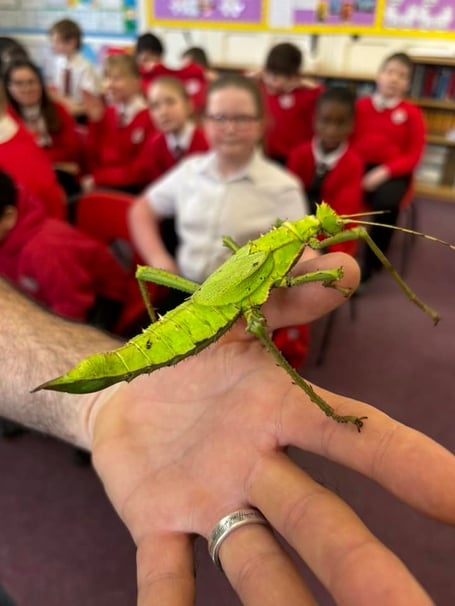 The children at St John's School have enjoyed a fun and exciting week of learning, taking part in their annual Science Week. 