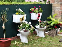 Good Gardening by Philip Greenfield: Rubbish to help your garden grow