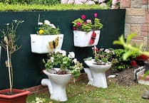 Good Gardening by Philip Greenfield: Recycled rubbish that will help your garden grow