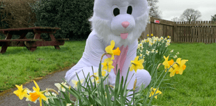 Fun for all the family at animal sanctuary's Spring Festival