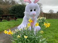 Fun for all the family at animal sanctuary's Spring Festival