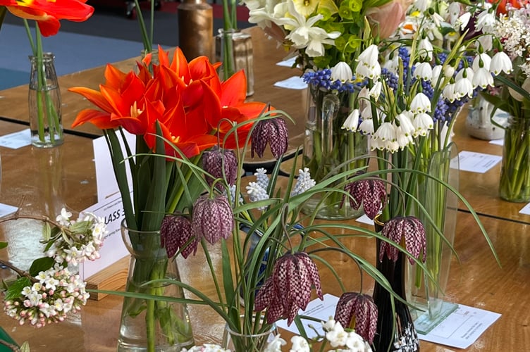 Wellington's Spring Flower Show