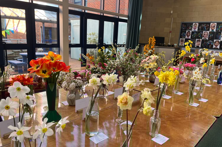 Wellington's Spring Flower Show