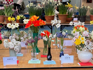 Summer Flower Show returns
