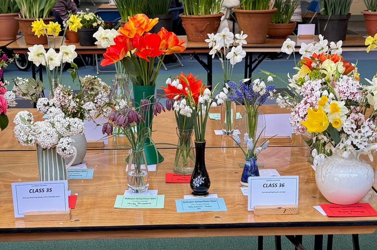 Wellington's Spring Flower Show