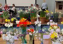 Summer Flower Show returns