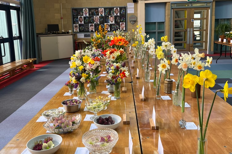 Wellington's Spring Flower Show