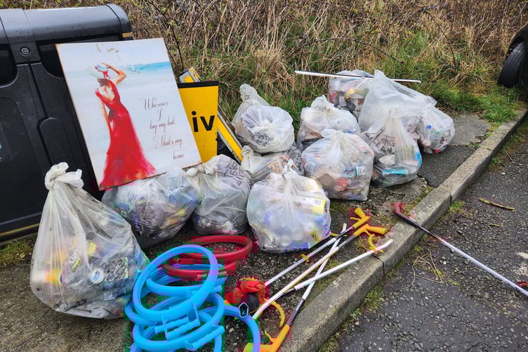 Some of the rubbish collected by the volunteers.