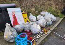 Council decides against litter-picking day because there's 'no problem' in Wellington