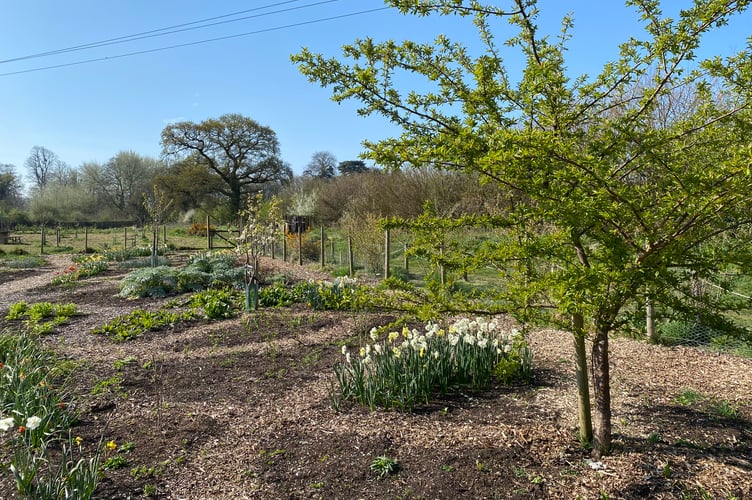 Transition Town Wellington sights to enjoy this Spring