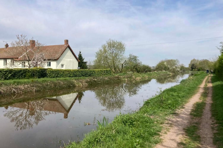The Bridgwater and Taunton Canal south of Maunsel Lock