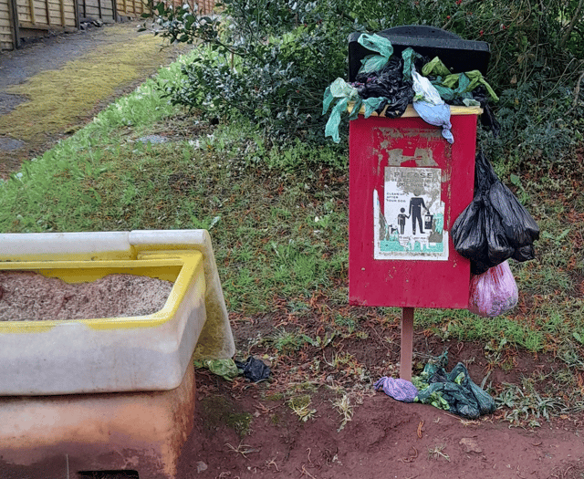 Public outcry over state of overflowing dog poo bins 