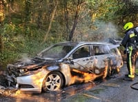 Car destroyed as it bursts into flames