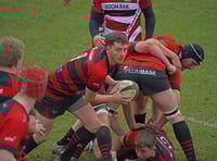 Wellington Vets, Vixens and lst XV all in action 