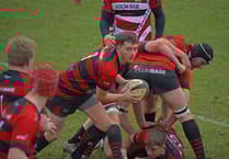 Wellington Vets, Vixens and lst XV all in action