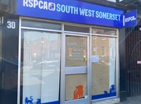 Wellington RSPCA charity shop to reopen after sudden closure