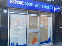 Wellington RSPCA charity shop to reopen after sudden closure
