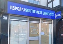 Wellington RSPCA charity shop to reopen after sudden closure