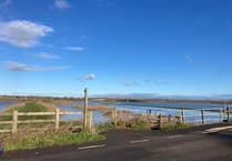 Calls to designate Somerset Levels as a 'national landscape'
