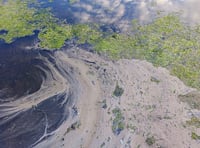 Warning over 'highly toxic' threat as temperatures soar