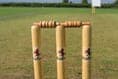 Wivey's young cricketers away to Taunton Vikings