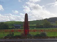 Town residents asked to become councillors