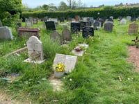 Public outrage over state of Wellington cemetery