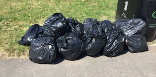 Ex-mayor litter picks to prove council wrong