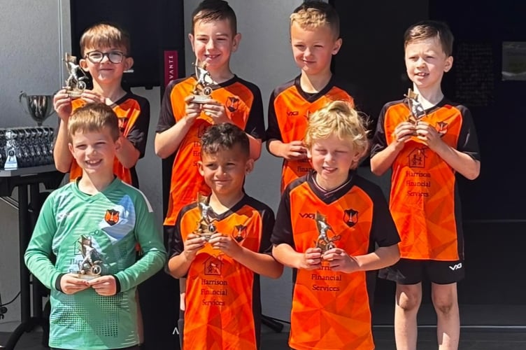 Wellington Tigers