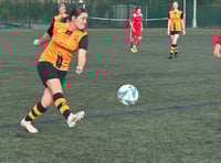 Wellington Wildcats storm to big win over Bishops Lydeard 