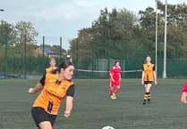 Wellington Wildcats storm to big win over Bishops Lydeard
