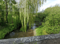 Agency wants to help fish and eel over weir
