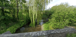 Agency wants to help fish and eel over weir