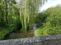 Agency wants to help fish and eel over weir