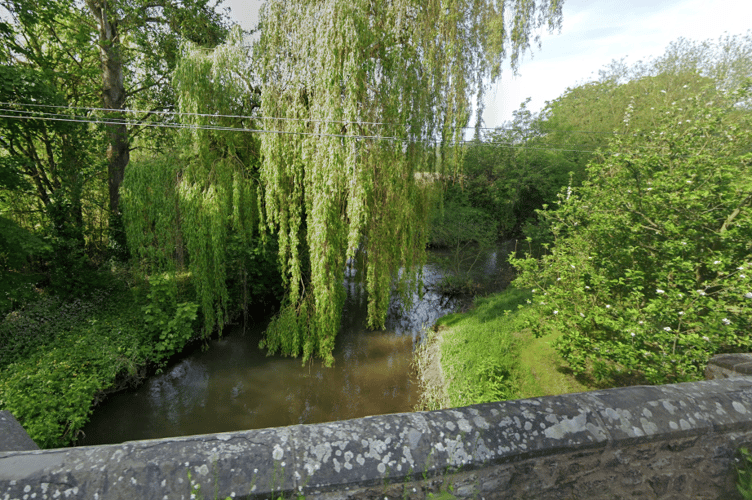 The River Tone viewed from Bradford Bridge, just above a weir where the Environment Agency wants to build a pass for fish and eels. PHOTO: Google Maps.