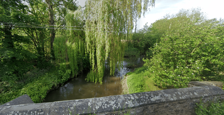 The River Tone viewed from Bradford Bridge, just above a weir where the Environment Agency wants to build a pass for fish and eels. PHOTO: Google Maps.