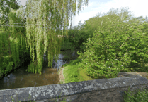 Fish & eel pass proposed on River Tone as part of Bridgwater tidal protection scheme
