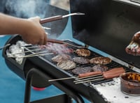 Council to host youth BBQ