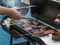 Council to host youth BBQ