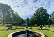 CCTV to be installed in Wellington Park to deter vandals