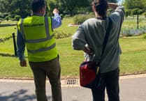 New wildlife plan to boost biodiversity around Wellington