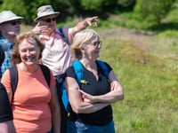 Still time to book on to Quantock festival walk